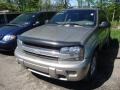 Light Pewter Metallic - TrailBlazer LS 4x4 Photo No. 5
