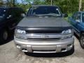 Light Pewter Metallic - TrailBlazer LS 4x4 Photo No. 6