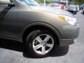 2008 Natural Khaki Metallic Hyundai Veracruz Limited  photo #35