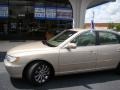 2009 Silk Beige Metallic Hyundai Azera Limited  photo #34