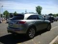 2003 Diamond Graphite Metallic Infiniti FX 45 AWD  photo #10