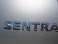 Magnetic Gray - Sentra 2.0 Photo No. 15