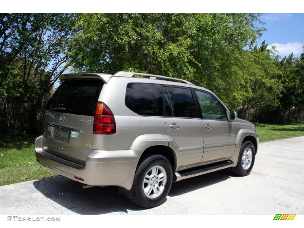2003 GX 470 - Dorado Gold Pearl / Ivory photo #10