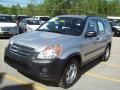 2006 Alabaster Silver Metallic Honda CR-V LX 4WD  photo #21