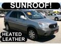 Light Spiral Gray Metallic 2004 Buick Rendezvous CXL