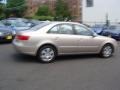 Camel Pearl - Sonata GLS Photo No. 4