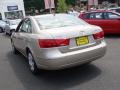 Camel Pearl - Sonata GLS Photo No. 7