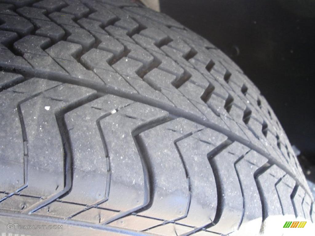 2004 Grand Marquis GS - Gold Ash Metallic / Medium Parchment photo #10