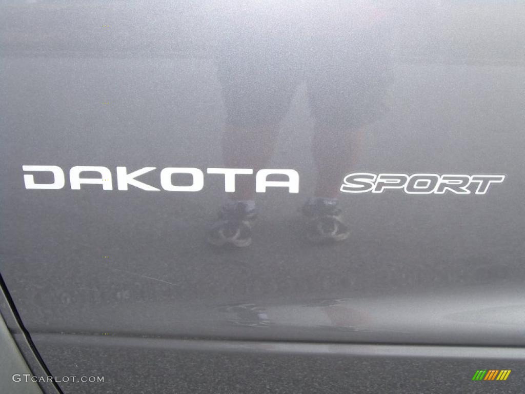 2002 Dakota Sport Club Cab - Graphite Metallic / Dark Slate Gray photo #11