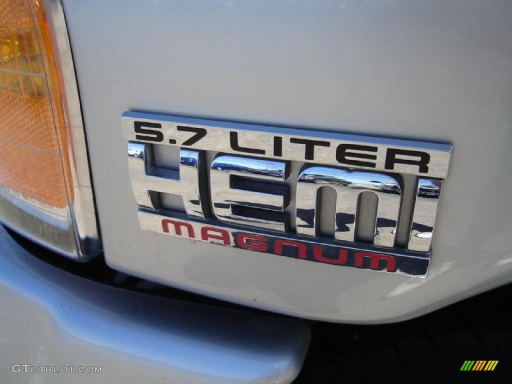 2005 Ram 1500 SLT Daytona Regular Cab 4x4 - Bright Silver Metallic / Dark Slate Gray photo #10