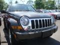 2005 Dark Khaki Pearl Jeep Liberty Limited 4x4  photo #5