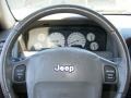 2003 Graphite Metallic Jeep Grand Cherokee Limited 4x4  photo #10