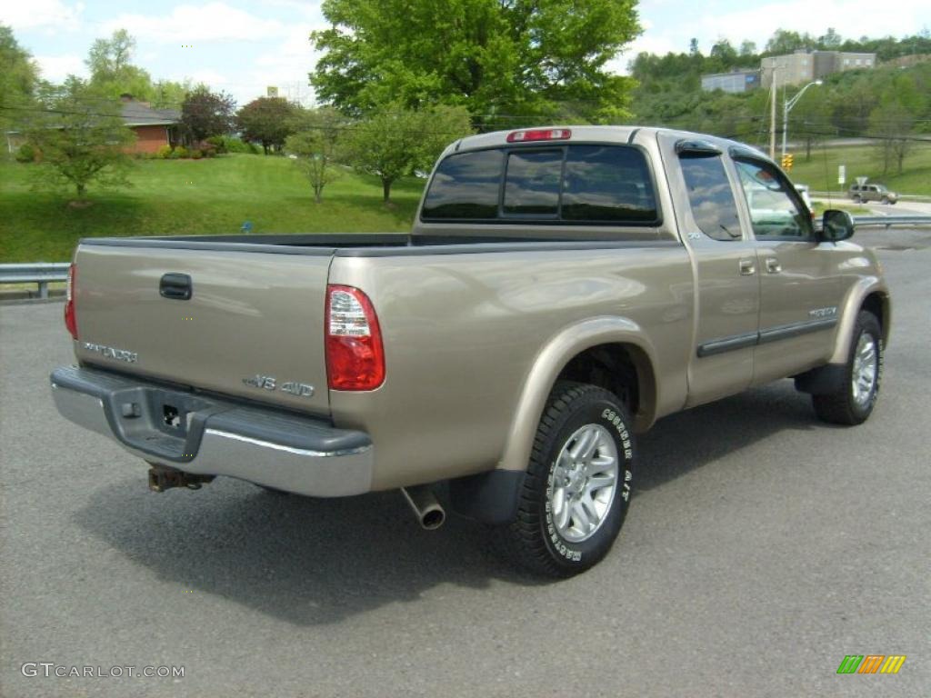 2005 Tundra SR5 Access Cab 4x4 - Desert Sand Mica / Taupe photo #7