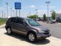 2009 Urban Titanium Metallic Honda CR-V LX  photo #2