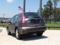 Urban Titanium Metallic - CR-V LX Photo No. 8