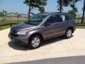 2009 Urban Titanium Metallic Honda CR-V LX  photo #13