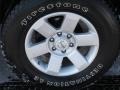 Radiant Silver - Titan LE King Cab Photo No. 14