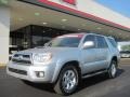 Titanium Metallic - 4Runner SR5 Photo No. 1