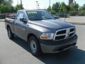 2010 Mineral Gray Metallic Dodge Ram 1500 ST Regular Cab  photo #5