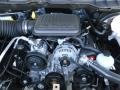 2010 Mineral Gray Metallic Dodge Ram 1500 ST Regular Cab  photo #21