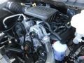 2010 Mineral Gray Metallic Dodge Ram 1500 ST Regular Cab  photo #22