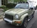 2002 Cactus Green Metallic Jeep Liberty Renegade 4x4 #29669273