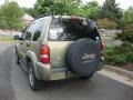 2002 Cactus Green Metallic Jeep Liberty Renegade 4x4  photo #3