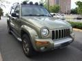 2002 Cactus Green Metallic Jeep Liberty Renegade 4x4  photo #8