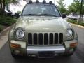 2002 Cactus Green Metallic Jeep Liberty Renegade 4x4  photo #9