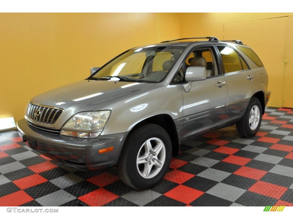 2001 RX 300 - Mineral Green Metallic / Ivory photo #3