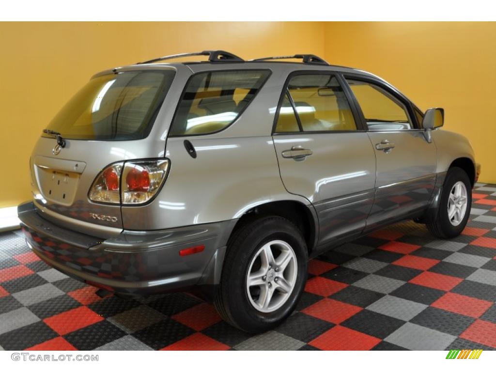 2001 RX 300 - Mineral Green Metallic / Ivory photo #6