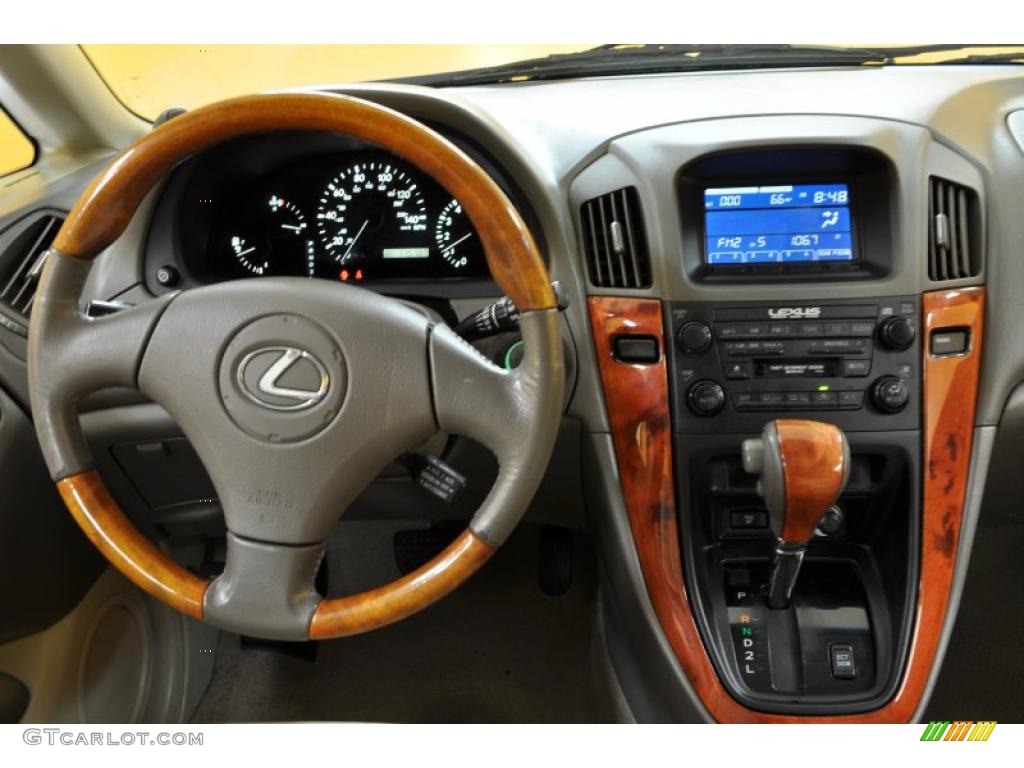 2001 RX 300 - Mineral Green Metallic / Ivory photo #7