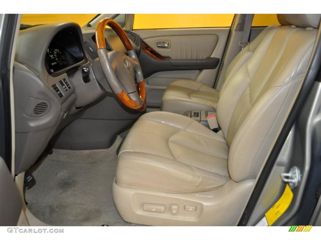 2001 RX 300 - Mineral Green Metallic / Ivory photo #11