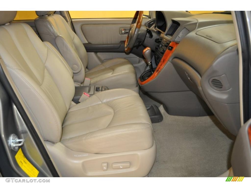 2001 RX 300 - Mineral Green Metallic / Ivory photo #15