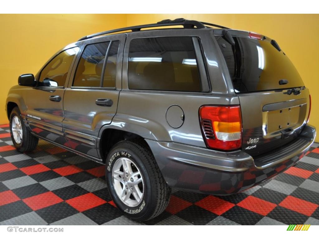2004 Grand Cherokee Special Edition 4x4 - Graphite Metallic / Dark Slate Gray photo #4
