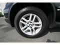 Jet Black - X5 3.0i Photo No. 21