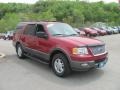 Redfire Metallic - Expedition XLT 4x4 Photo No. 5