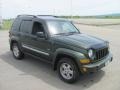 2006 Jeep Green Metallic Jeep Liberty Sport 4x4  photo #4