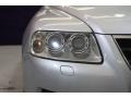 Reflex Silver Metallic - Touareg V8 Photo No. 24
