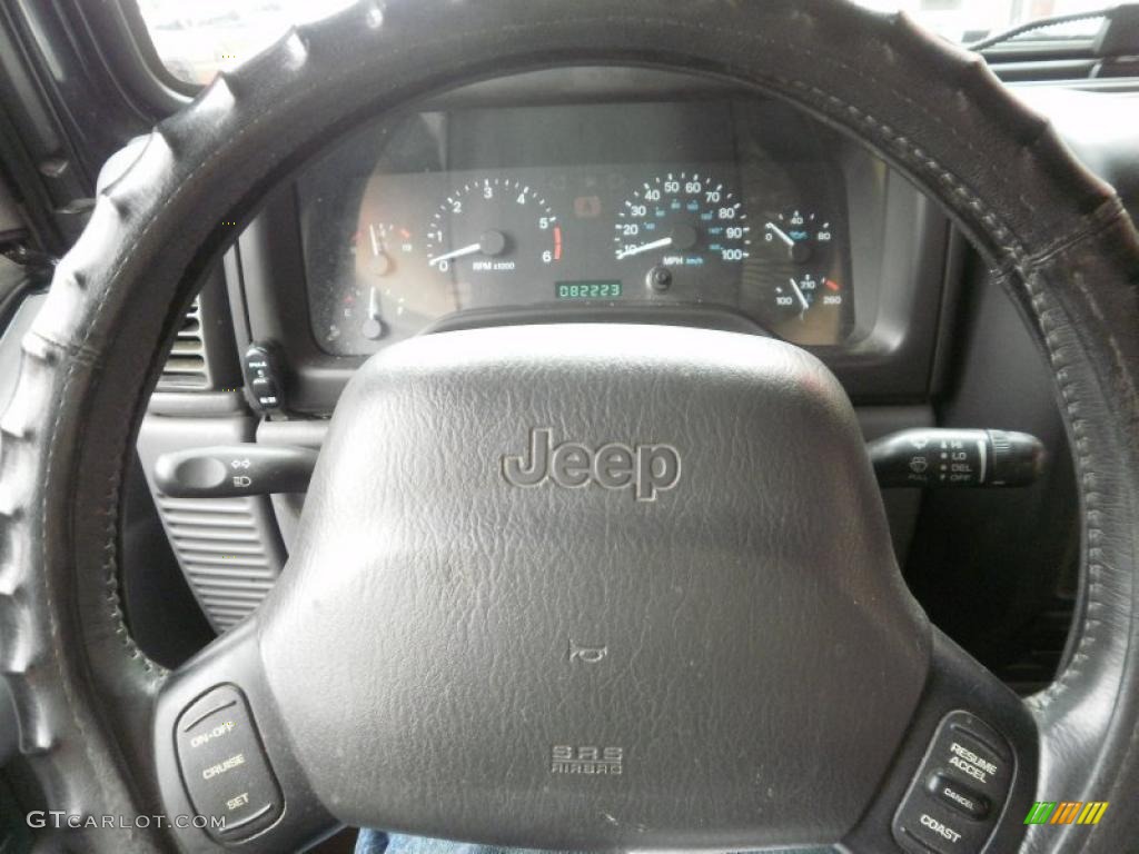 1998 Wrangler Sport 4x4 - Deep Amethyst Pearl / Gray photo #12