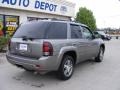 2007 Graystone Metallic Chevrolet TrailBlazer LT 4x4  photo #8