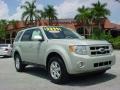 2008 Light Sage Metallic Ford Escape Limited  photo #1
