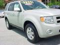 2008 Light Sage Metallic Ford Escape Limited  photo #2