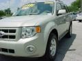 2008 Light Sage Metallic Ford Escape Limited  photo #14