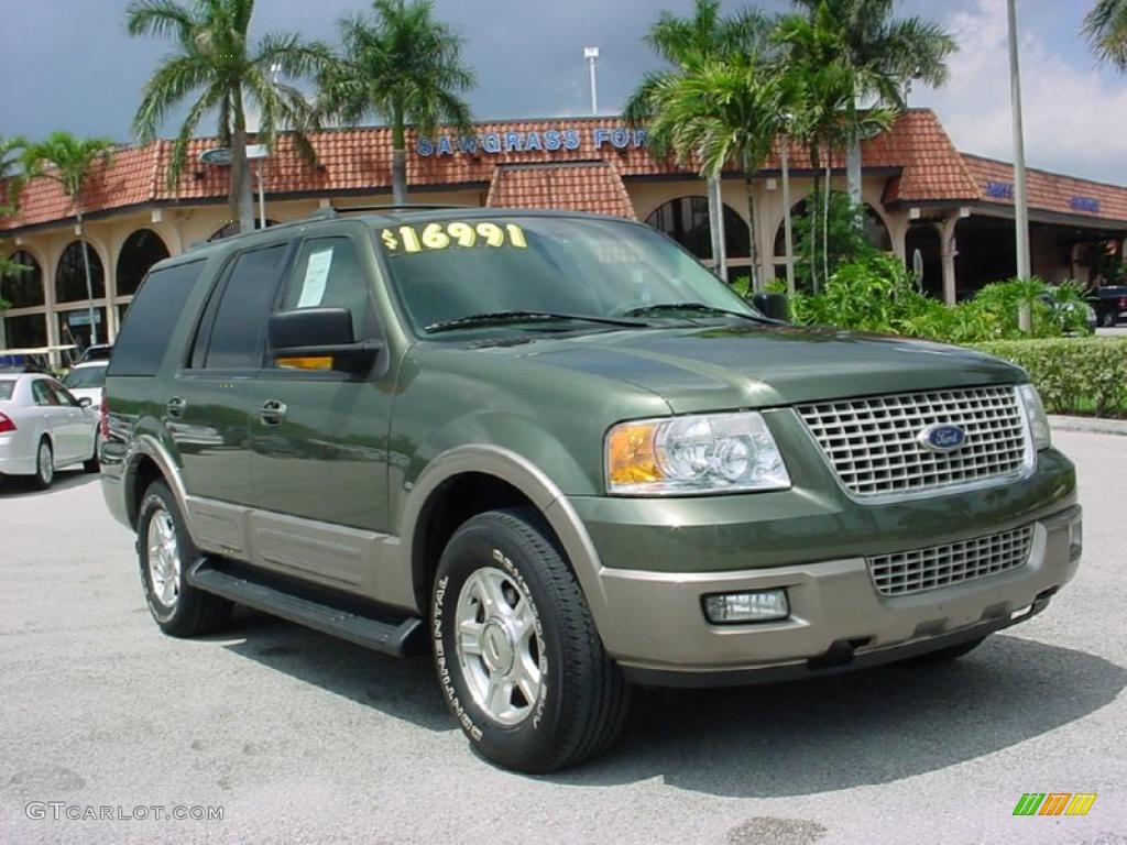 2003 Expedition Eddie Bauer - Estate Green Metallic / Medium Parchment photo #1
