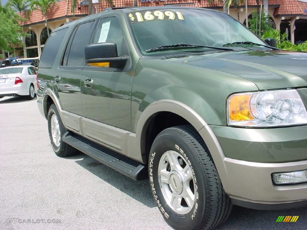2003 Expedition Eddie Bauer - Estate Green Metallic / Medium Parchment photo #2