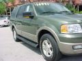 2003 Estate Green Metallic Ford Expedition Eddie Bauer  photo #2