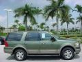 2003 Estate Green Metallic Ford Expedition Eddie Bauer  photo #5