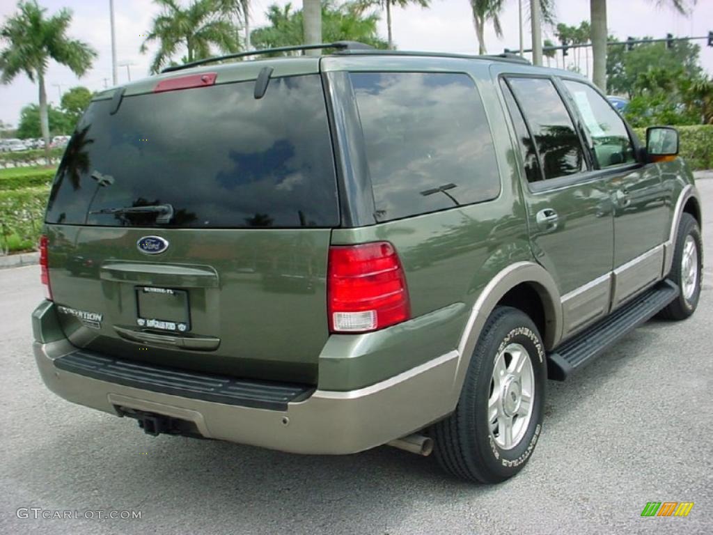 2003 Expedition Eddie Bauer - Estate Green Metallic / Medium Parchment photo #6