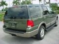 2003 Estate Green Metallic Ford Expedition Eddie Bauer  photo #6